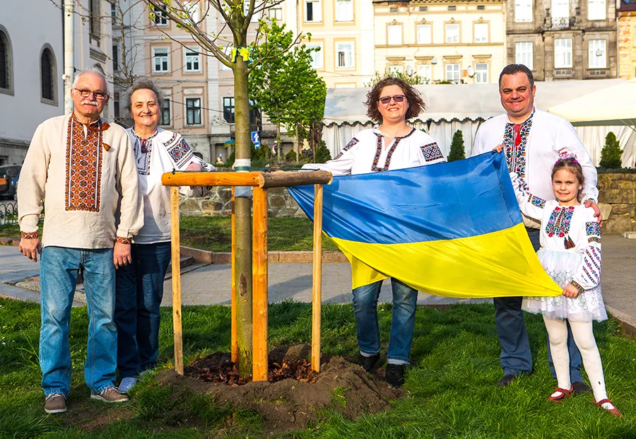 Посадка тюльпанового дерева у пам’ять про Лео, 2024 рік