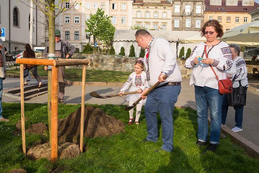 Олексій Даців висаджує дерево